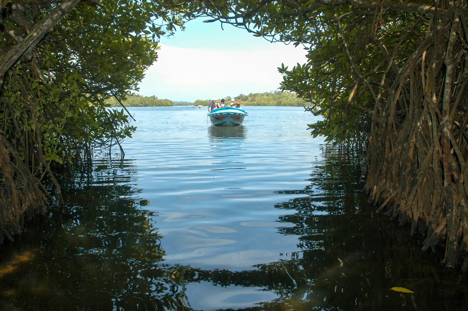 pinnawala